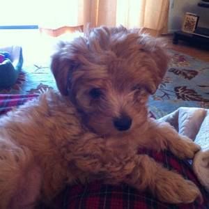 Meet your Posher, Aileen